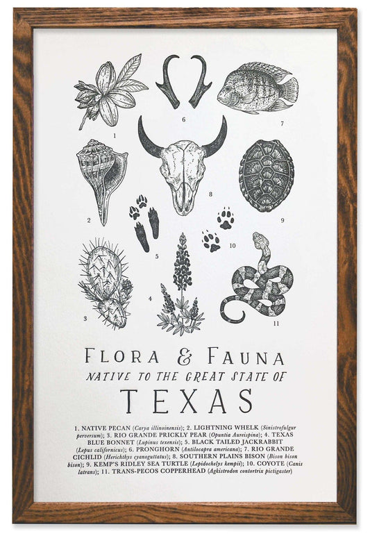 Texas Field Guide Letterpress Print