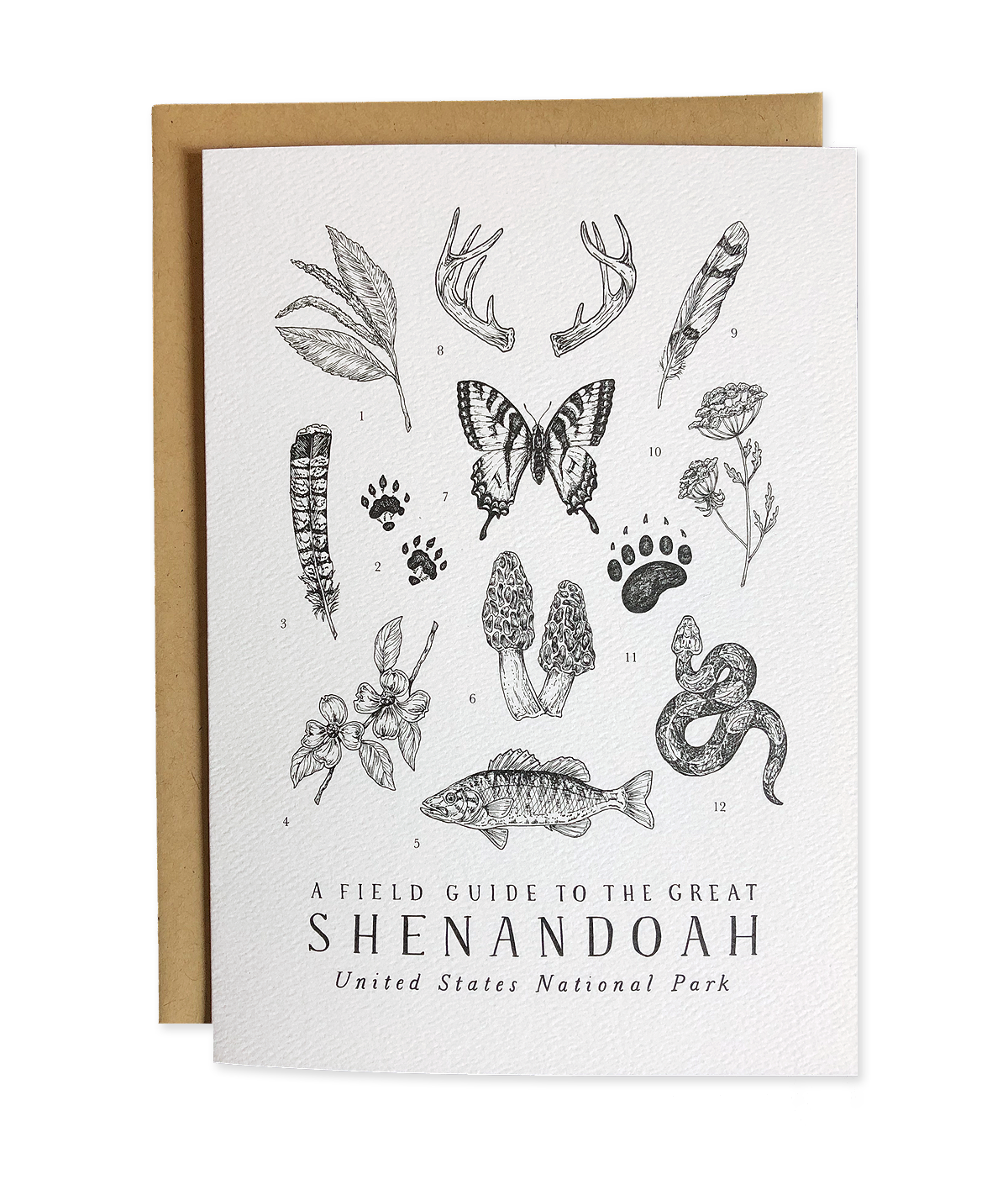 Shenandoah National Park Field Guide Greeting Card